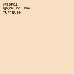 #F8DFC2 - Tuft Bush Color Image